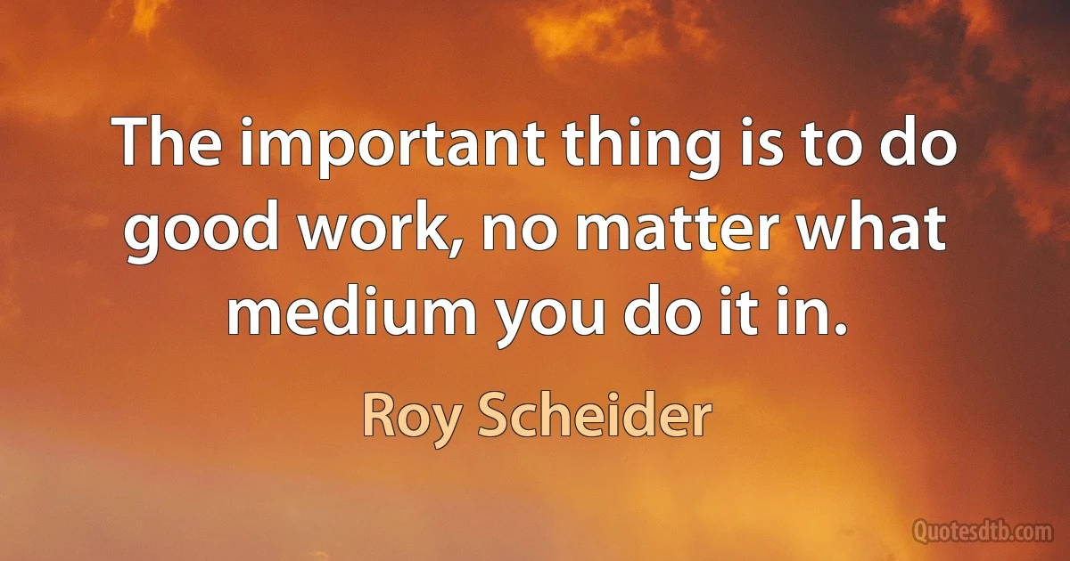 The important thing is to do good work, no matter what medium you do it in. (Roy Scheider)