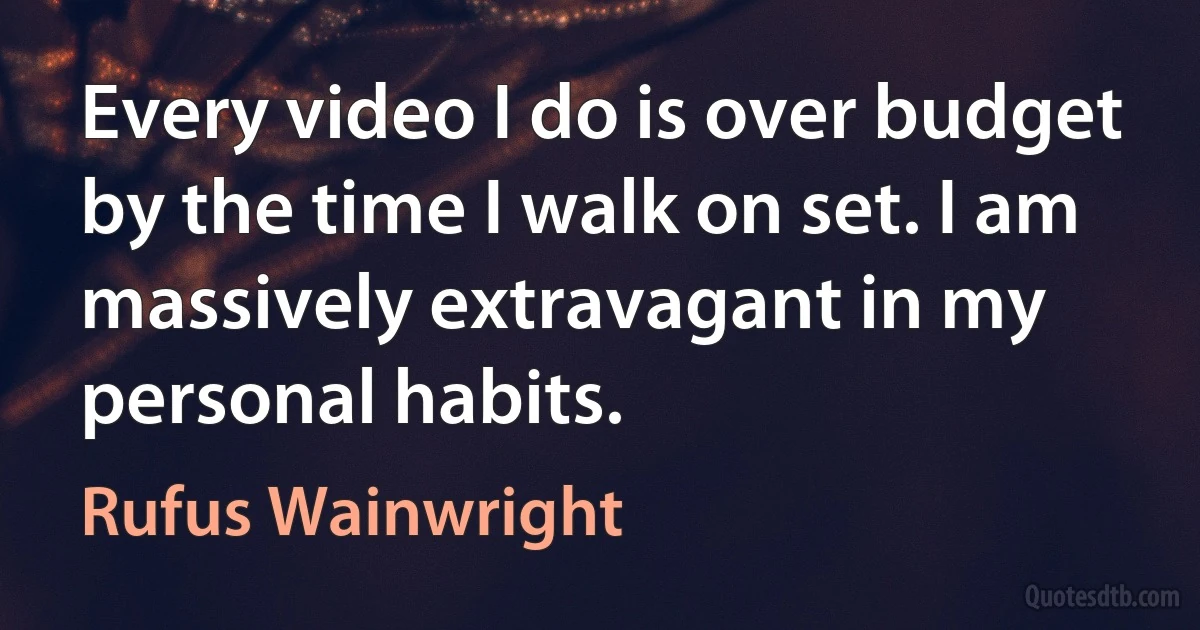 Every video I do is over budget by the time I walk on set. I am massively extravagant in my personal habits. (Rufus Wainwright)