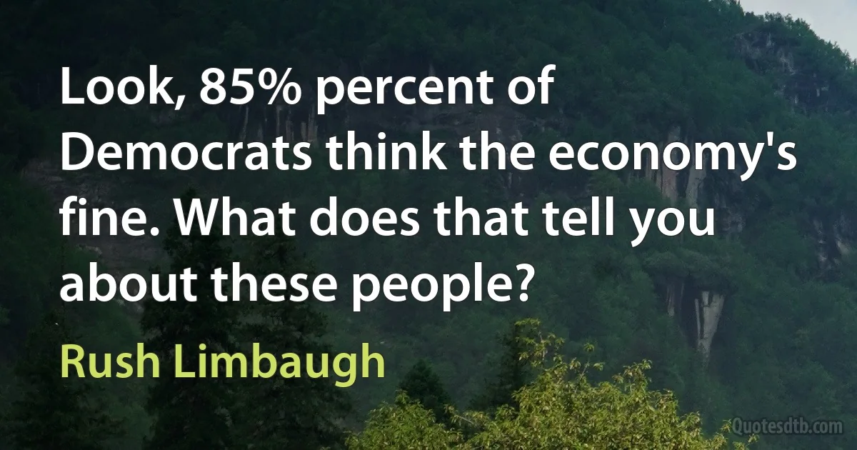 Look, 85% percent of Democrats think the economy's fine. What does that tell you about these people? (Rush Limbaugh)