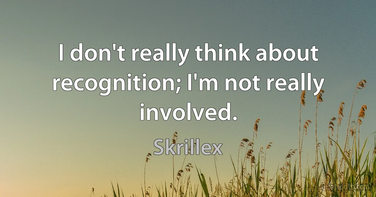 I don't really think about recognition; I'm not really involved. (Skrillex)