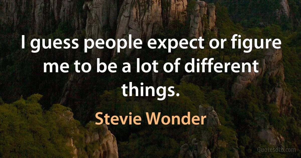 I guess people expect or figure me to be a lot of different things. (Stevie Wonder)