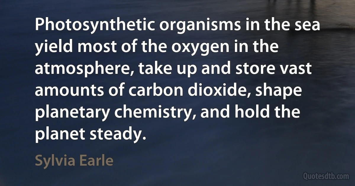 Photosynthetic organisms in the sea yield most of the oxygen in the atmosphere, take up and store vast amounts of carbon dioxide, shape planetary chemistry, and hold the planet steady. (Sylvia Earle)