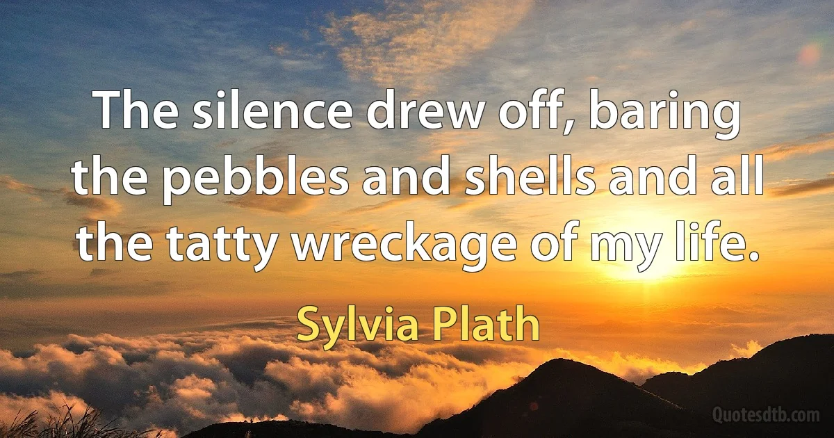 The silence drew off, baring the pebbles and shells and all the tatty wreckage of my life. (Sylvia Plath)