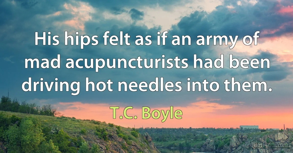 His hips felt as if an army of mad acupuncturists had been driving hot needles into them. (T.C. Boyle)