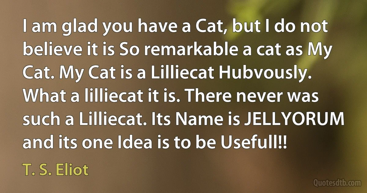 I am glad you have a Cat, but I do not believe it is So remarkable a cat as My Cat. My Cat is a Lilliecat Hubvously. What a lilliecat it is. There never was such a Lilliecat. Its Name is JELLYORUM and its one Idea is to be Usefull!! (T. S. Eliot)