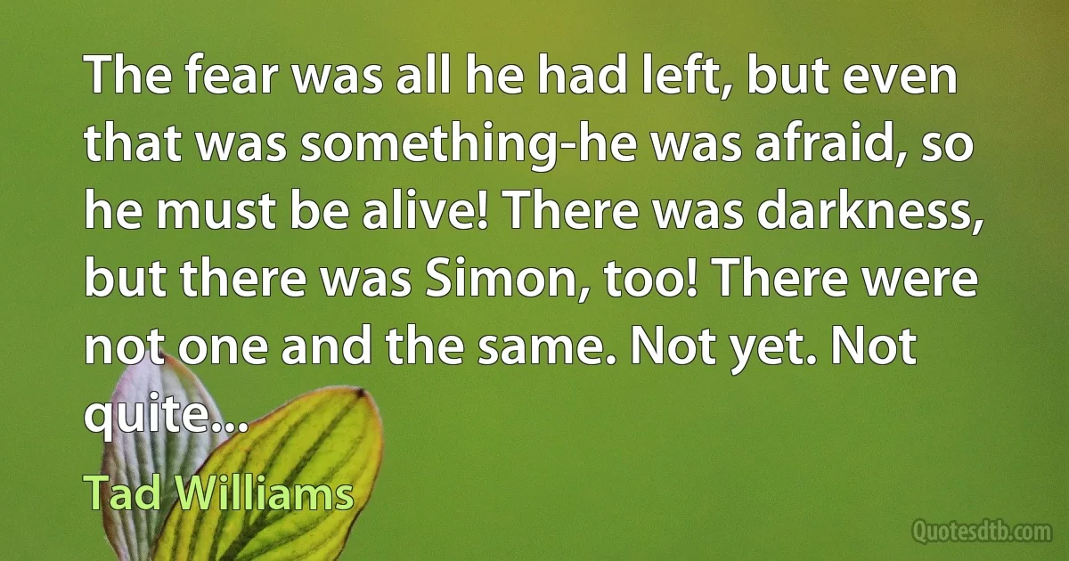 The fear was all he had left, but even that was something-he was afraid, so he must be alive! There was darkness, but there was Simon, too! There were not one and the same. Not yet. Not quite... (Tad Williams)