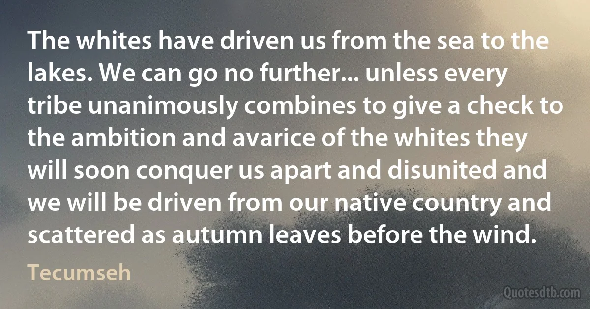 The whites have driven us from the sea to the lakes. We can go no further... unless every tribe unanimously combines to give a check to the ambition and avarice of the whites they will soon conquer us apart and disunited and we will be driven from our native country and scattered as autumn leaves before the wind. (Tecumseh)