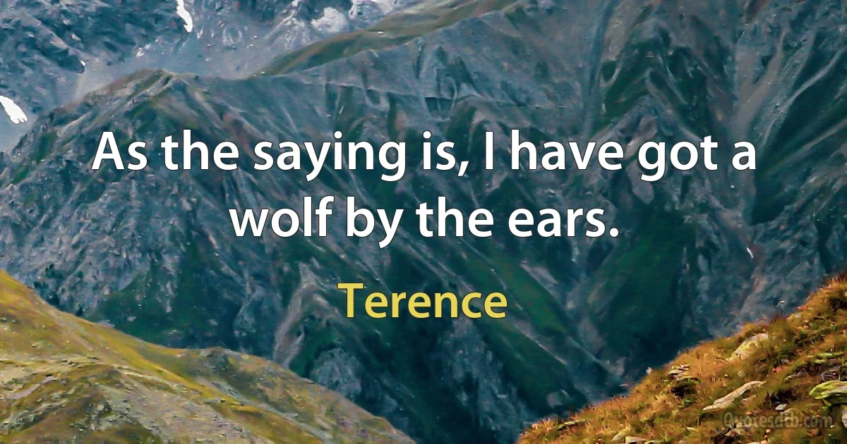 As the saying is, I have got a wolf by the ears. (Terence)