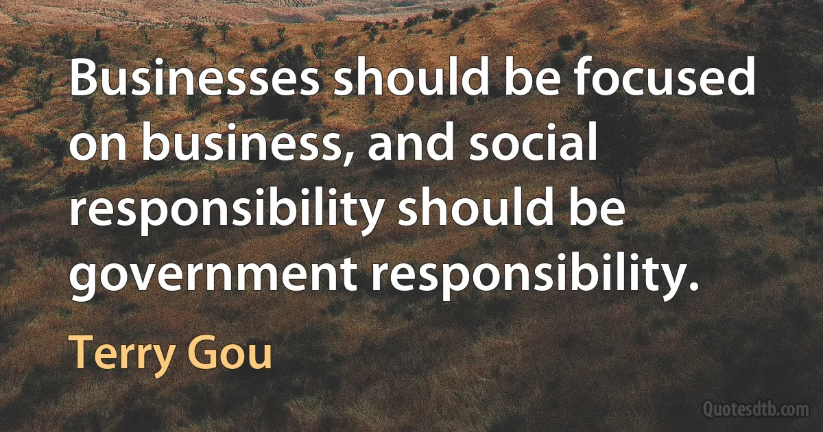 Businesses should be focused on business, and social responsibility should be government responsibility. (Terry Gou)