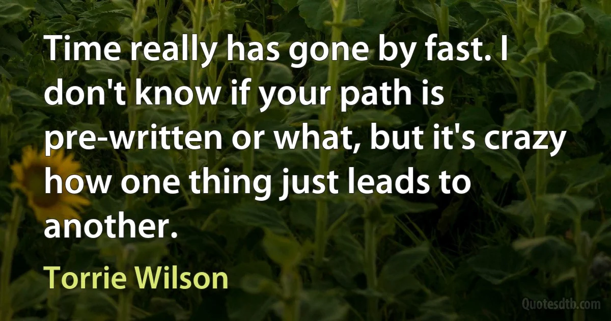 Time really has gone by fast. I don't know if your path is pre-written or what, but it's crazy how one thing just leads to another. (Torrie Wilson)