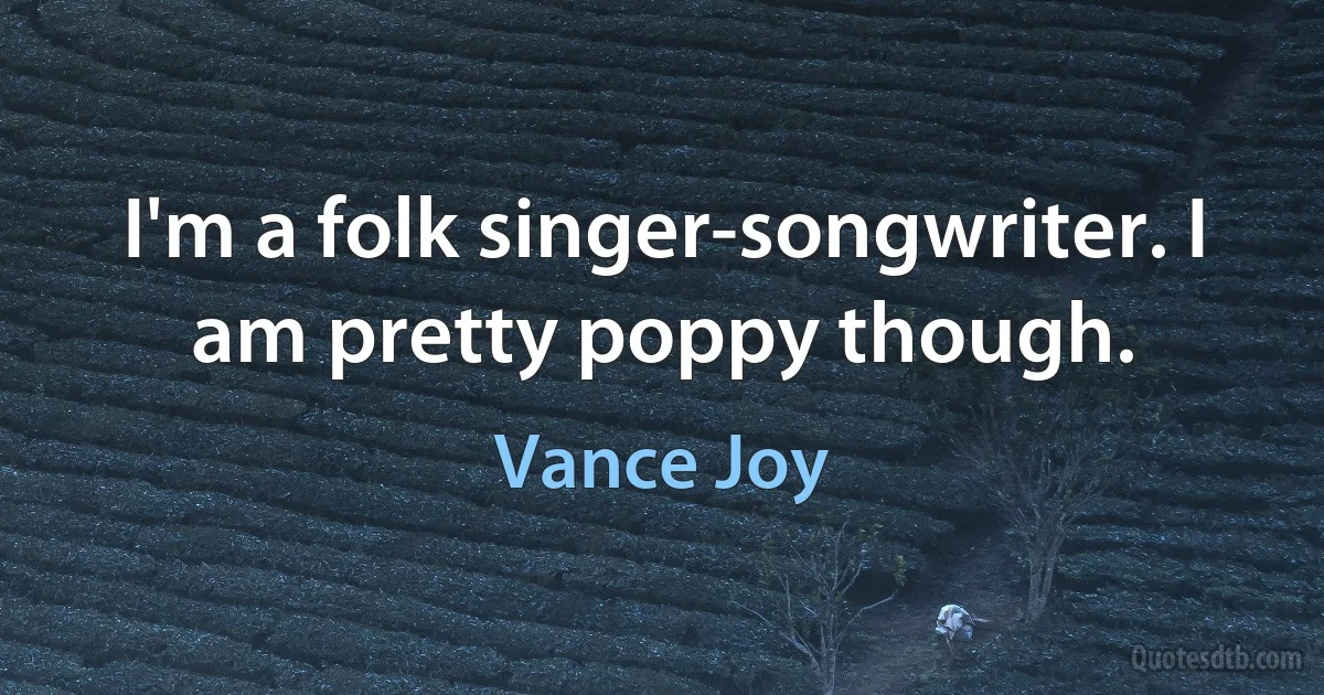 I'm a folk singer-songwriter. I am pretty poppy though. (Vance Joy)