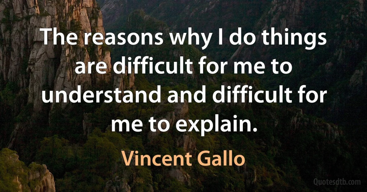 The reasons why I do things are difficult for me to understand and difficult for me to explain. (Vincent Gallo)