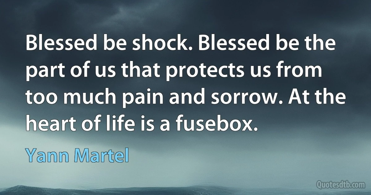 Blessed be shock. Blessed be the part of us that protects us from too much pain and sorrow. At the heart of life is a fusebox. (Yann Martel)