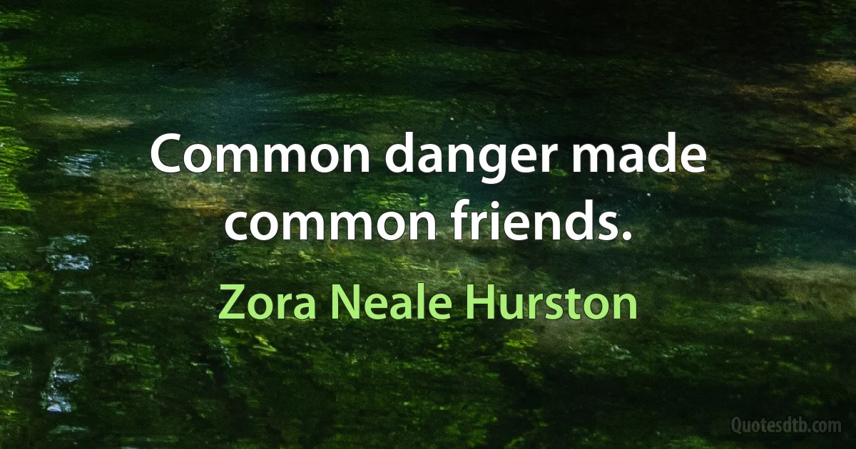 Common danger made common friends. (Zora Neale Hurston)