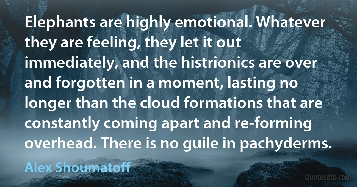 Elephants are highly emotional. Whatever they are feeling, they let it out immediately, and the histrionics are over and forgotten in a moment, lasting no longer than the cloud formations that are constantly coming apart and re-forming overhead. There is no guile in pachyderms. (Alex Shoumatoff)