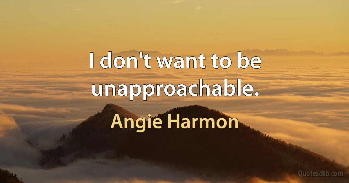 I don't want to be unapproachable. (Angie Harmon)