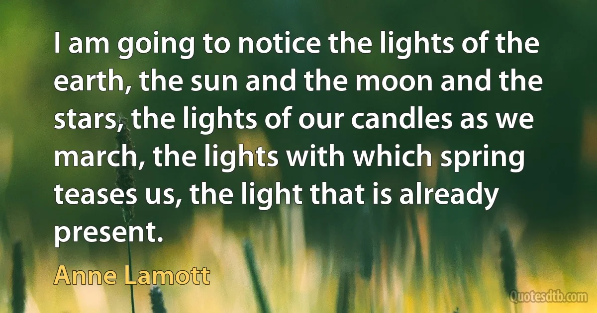 I am going to notice the lights of the earth, the sun and the moon and the stars, the lights of our candles as we march, the lights with which spring teases us, the light that is already present. (Anne Lamott)