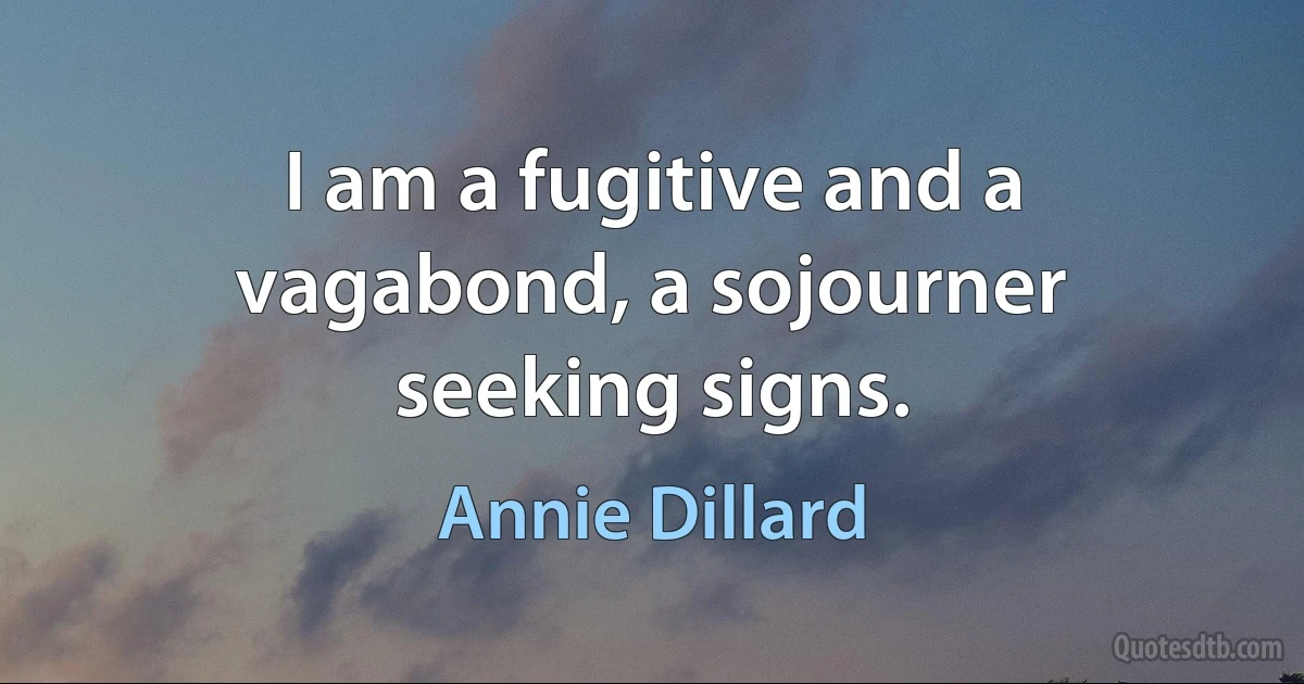 I am a fugitive and a vagabond, a sojourner seeking signs. (Annie Dillard)