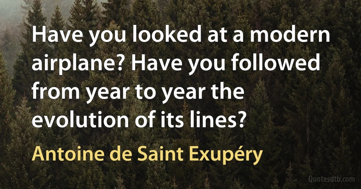 Have you looked at a modern airplane? Have you followed from year to year the evolution of its lines? (Antoine de Saint Exupéry)