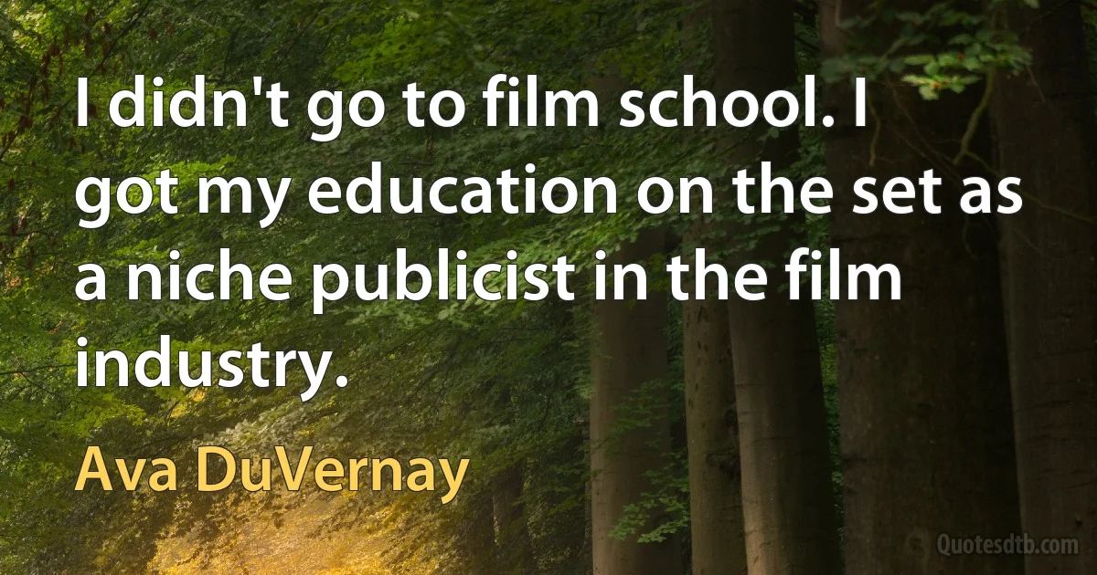 I didn't go to film school. I got my education on the set as a niche publicist in the film industry. (Ava DuVernay)