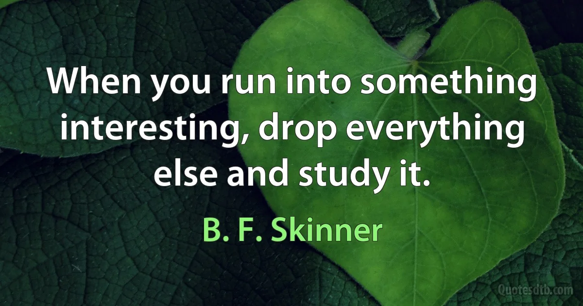 When you run into something interesting, drop everything else and study it. (B. F. Skinner)