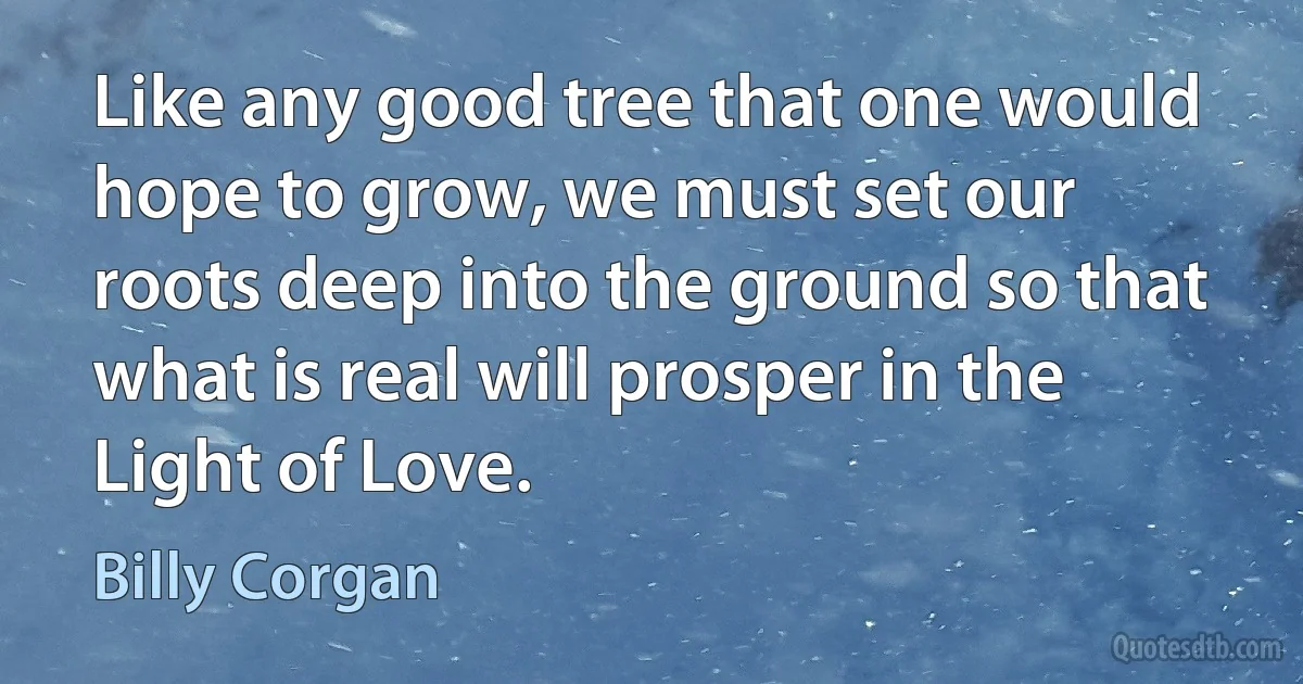 Like any good tree that one would hope to grow, we must set our roots deep into the ground so that what is real will prosper in the Light of Love. (Billy Corgan)