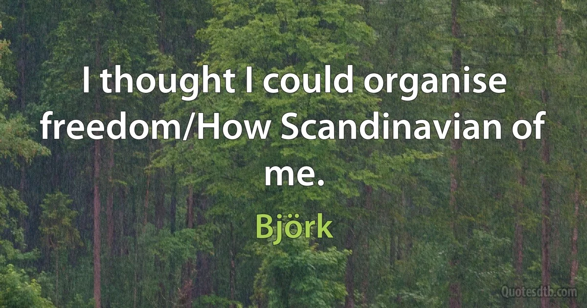 I thought I could organise freedom/How Scandinavian of me. (Björk)