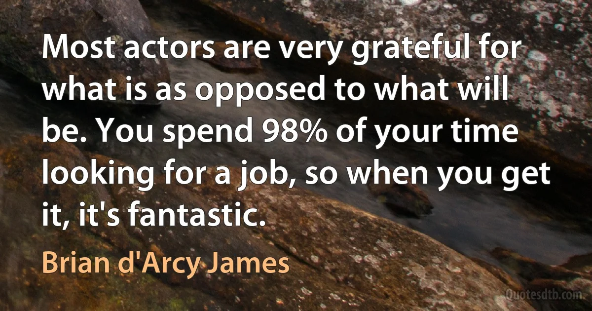 Most actors are very grateful for what is as opposed to what will be. You spend 98% of your time looking for a job, so when you get it, it's fantastic. (Brian d'Arcy James)