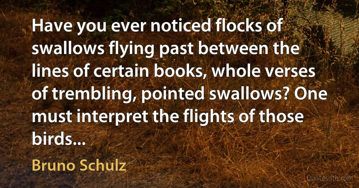 Have you ever noticed flocks of swallows flying past between the lines of certain books, whole verses of trembling, pointed swallows? One must interpret the flights of those birds... (Bruno Schulz)