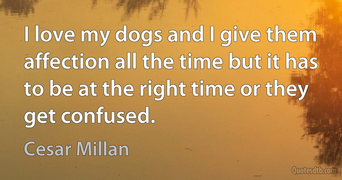 I love my dogs and I give them affection all the time but it has to be at the right time or they get confused. (Cesar Millan)