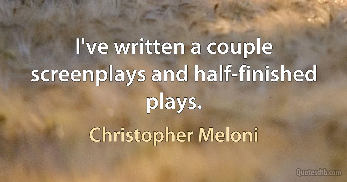 I've written a couple screenplays and half-finished plays. (Christopher Meloni)