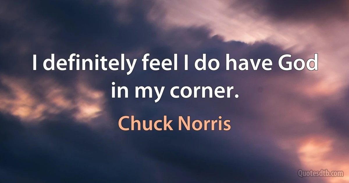 I definitely feel I do have God in my corner. (Chuck Norris)