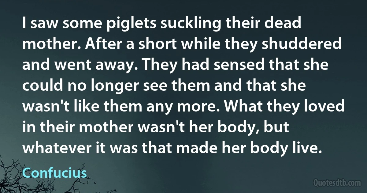 I saw some piglets suckling their dead mother. After a short while they shuddered and went away. They had sensed that she could no longer see them and that she wasn't like them any more. What they loved in their mother wasn't her body, but whatever it was that made her body live. (Confucius)