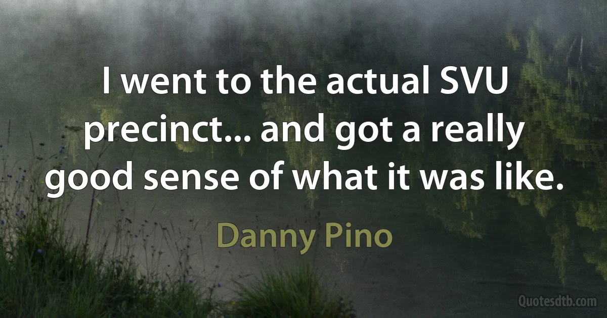 I went to the actual SVU precinct... and got a really good sense of what it was like. (Danny Pino)