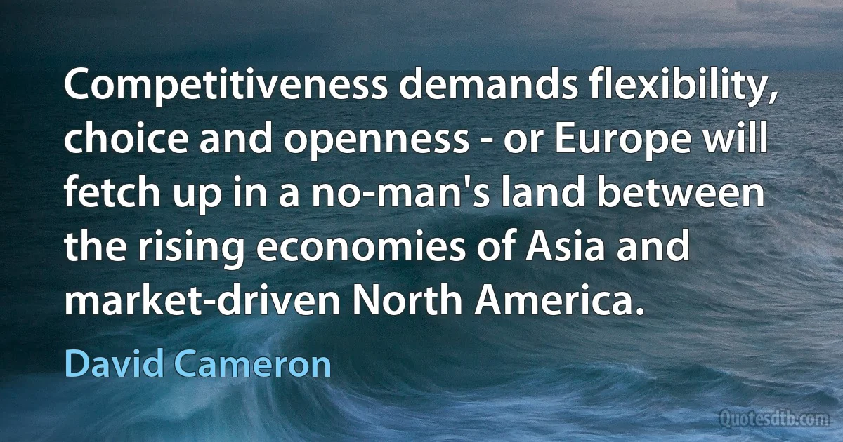 Competitiveness demands flexibility, choice and openness - or Europe will fetch up in a no-man's land between the rising economies of Asia and market-driven North America. (David Cameron)