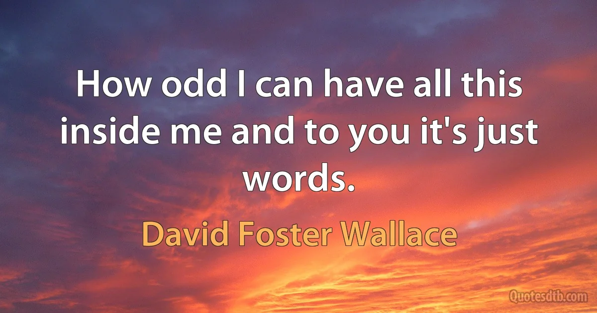 How odd I can have all this inside me and to you it's just words. (David Foster Wallace)