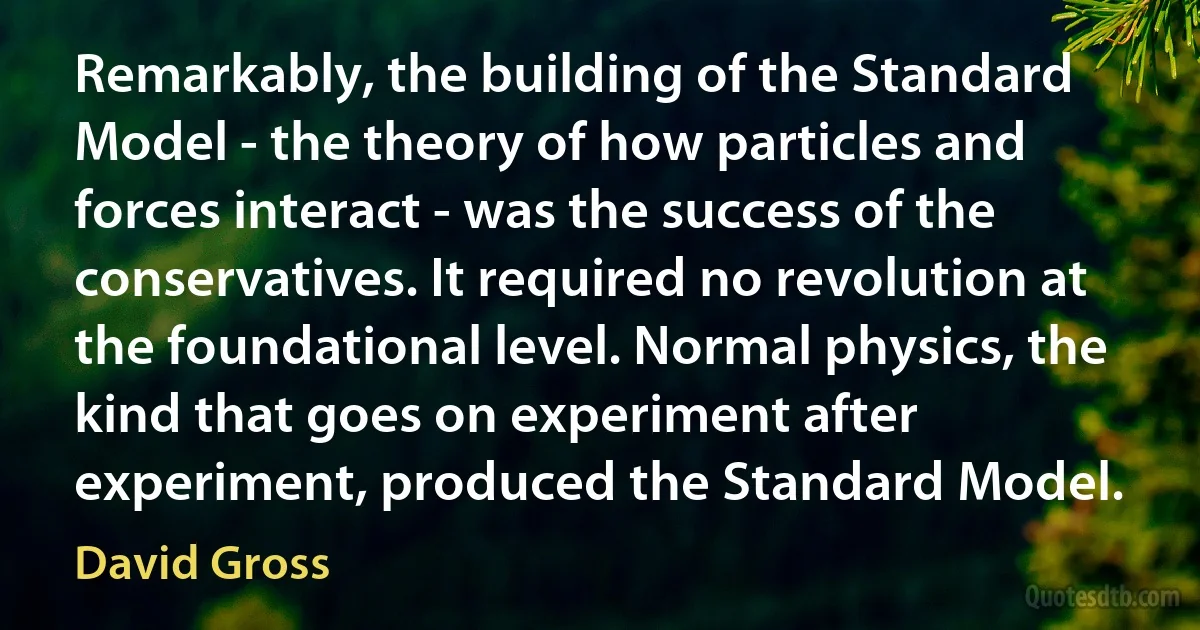 Remarkably, the building of the Standard Model - the theory of how particles and forces interact - was the success of the conservatives. It required no revolution at the foundational level. Normal physics, the kind that goes on experiment after experiment, produced the Standard Model. (David Gross)