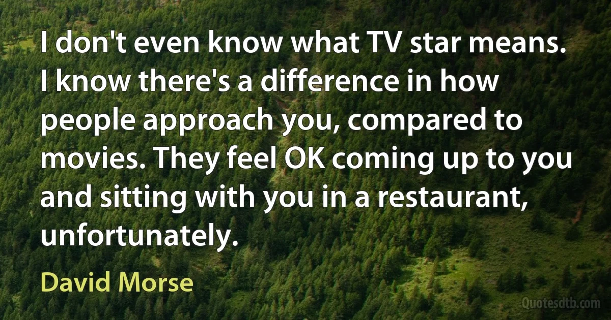 I don't even know what TV star means. I know there's a difference in how people approach you, compared to movies. They feel OK coming up to you and sitting with you in a restaurant, unfortunately. (David Morse)