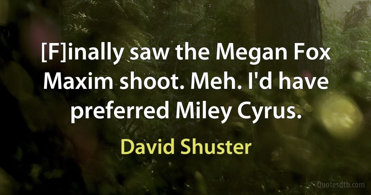 [F]inally saw the Megan Fox Maxim shoot. Meh. I'd have preferred Miley Cyrus. (David Shuster)