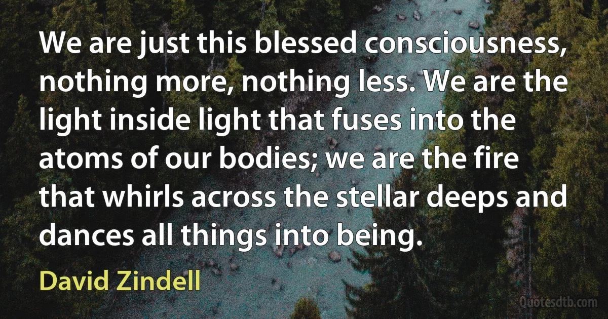 We are just this blessed consciousness, nothing more, nothing less. We are the light inside light that fuses into the atoms of our bodies; we are the fire that whirls across the stellar deeps and dances all things into being. (David Zindell)