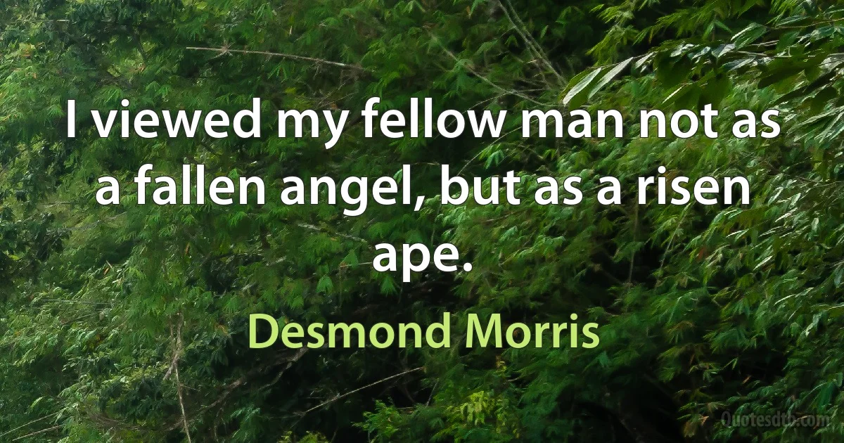 I viewed my fellow man not as a fallen angel, but as a risen ape. (Desmond Morris)