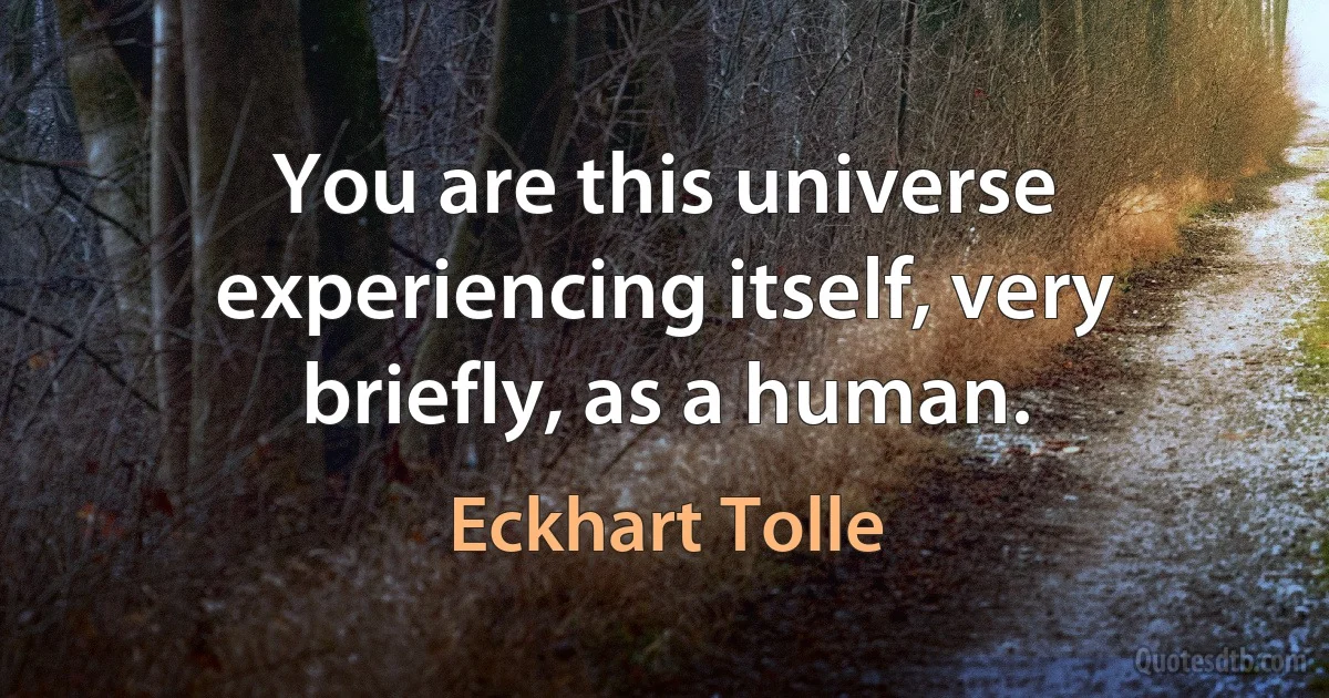 You are this universe experiencing itself, very briefly, as a human. (Eckhart Tolle)