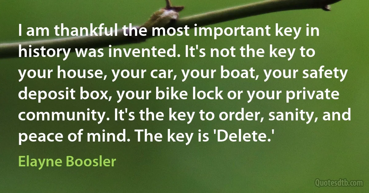 I am thankful the most important key in history was invented. It's not the key to your house, your car, your boat, your safety deposit box, your bike lock or your private community. It's the key to order, sanity, and peace of mind. The key is 'Delete.' (Elayne Boosler)