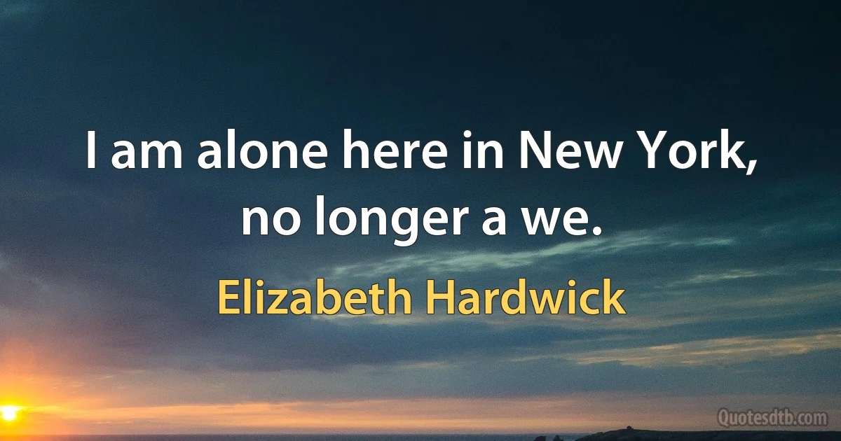 I am alone here in New York, no longer a we. (Elizabeth Hardwick)