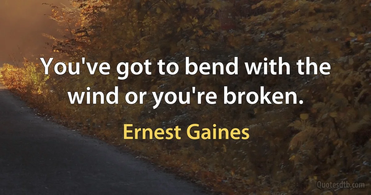 You've got to bend with the wind or you're broken. (Ernest Gaines)