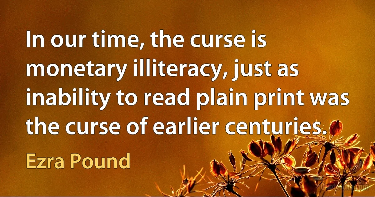 In our time, the curse is monetary illiteracy, just as inability to read plain print was the curse of earlier centuries. (Ezra Pound)