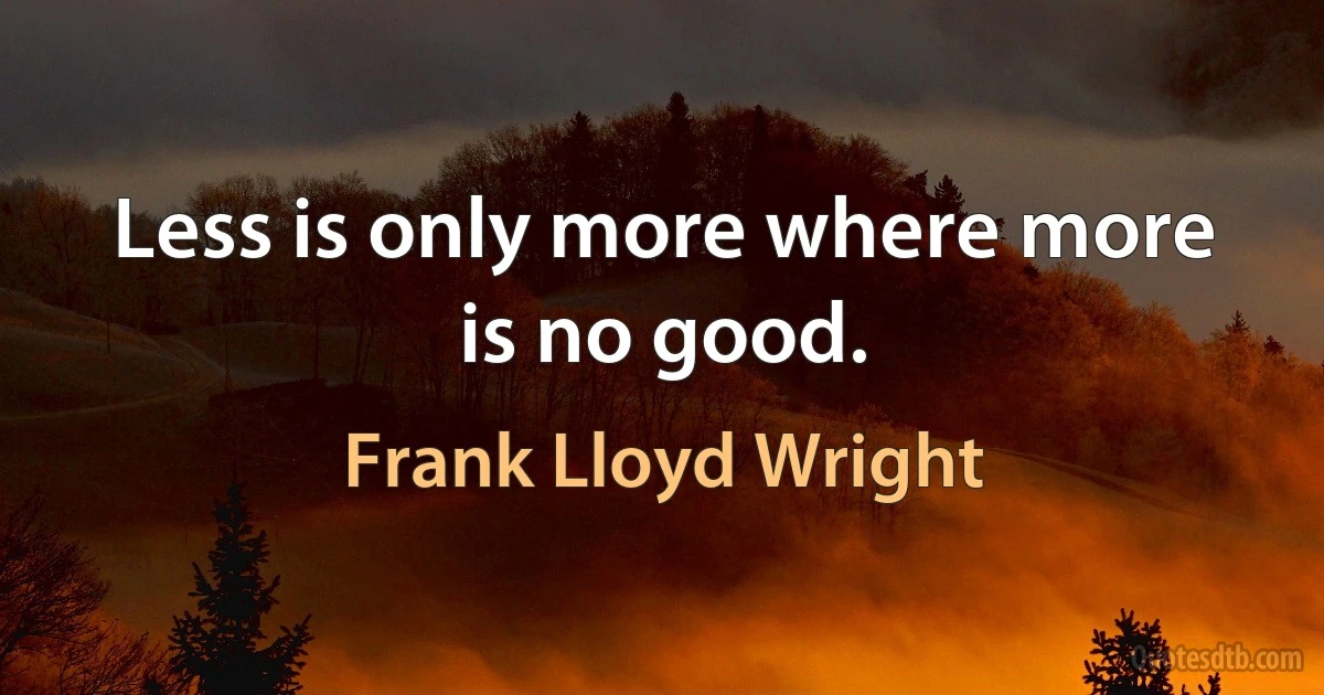 Less is only more where more is no good. (Frank Lloyd Wright)