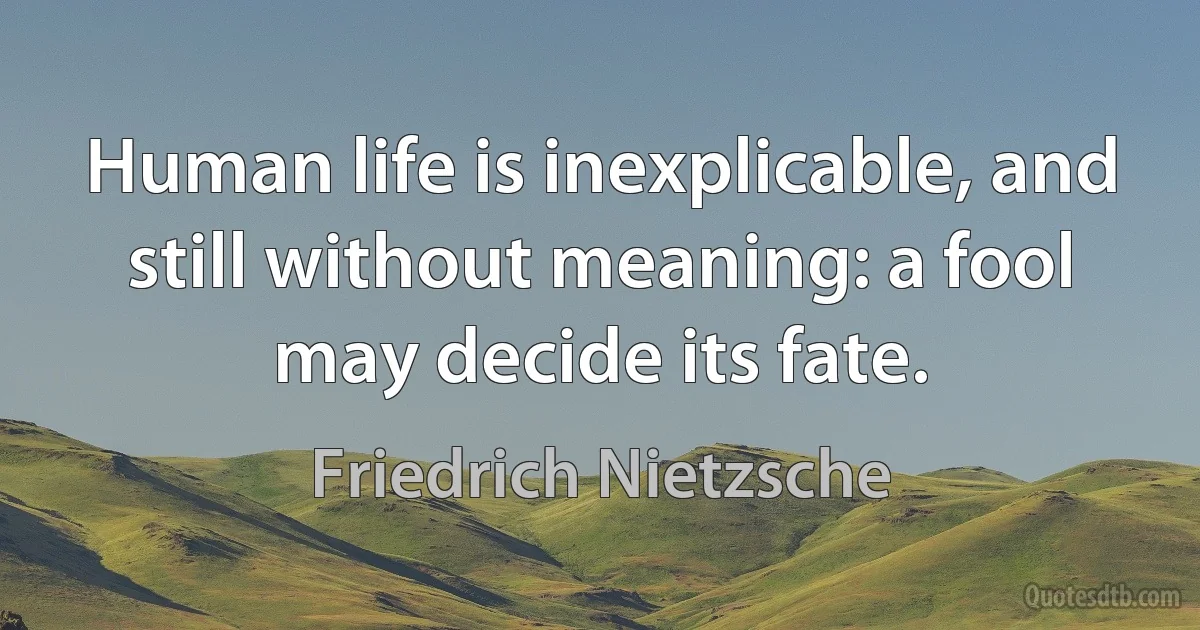 Human life is inexplicable, and still without meaning: a fool may decide its fate. (Friedrich Nietzsche)