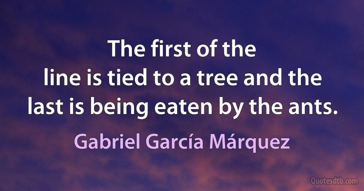 The first of the
line is tied to a tree and the last is being eaten by the ants. (Gabriel García Márquez)