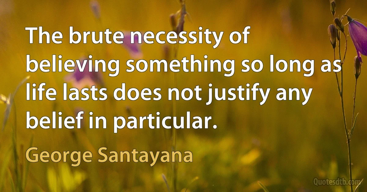 The brute necessity of believing something so long as life lasts does not justify any belief in particular. (George Santayana)